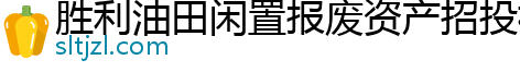 胜利油田闲置报废资产招投标系统